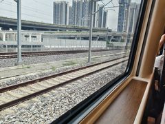-岳阳东站