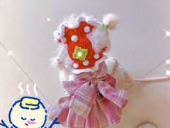 -鼎级派宠物(中南店)