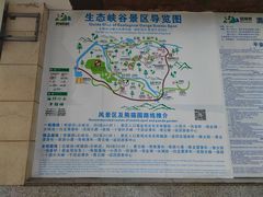 -碧峰峡风景区