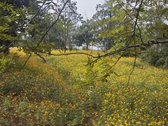 -池州市平天湖风景区
