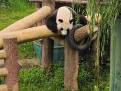 -沈阳森林动物园