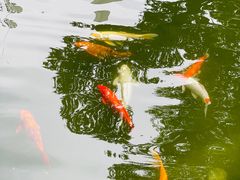 -园林格兰云天大酒店-太极名厨中餐厅