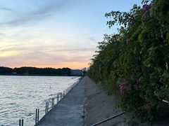 -贡湖湾湿地公园