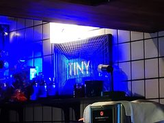 -TINY