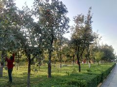 -西安汉城湖景区