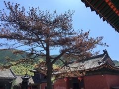 -五台山风景名胜区-罗睺寺