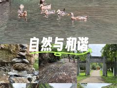 -龙门涧景区
