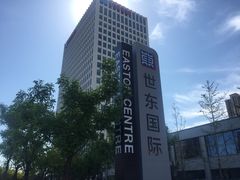 -世东国际