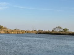 -盐城丹顶鹤湿地生态旅游区