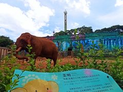 -昆明动物园