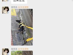 -半岛宠物医院24小时(科华中路店)