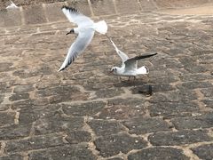 -馋嘴诱惑