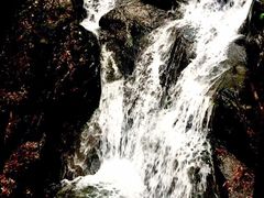 -藏龙百瀑风景区