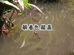 -青青世界