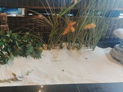 -江小渔鲜鱼火锅(西二道街店)
