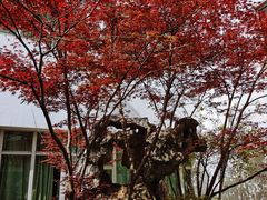 -苏州图书馆(人民路总馆)