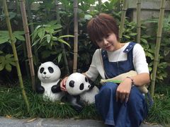 -上海崇明金茂凯悦酒店