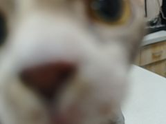 -宠颐生宠物医院·综合诊疗(先锋分院)