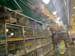 -宠爱我(南山店)