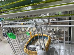 -三旗百汇商品城