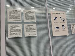 -悦宠凯宝动物医院·牙科·皮肤科(朝阳北路店)