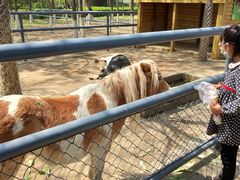 -长白岛森林公园