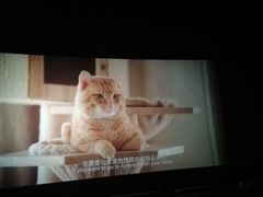 -几何影城观前街店(全激光影厅)
