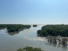 -北海金海湾红树林生态旅游区