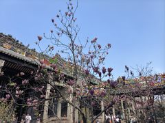-陈家祠堂-游客中心