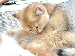 -鹏欣水游城