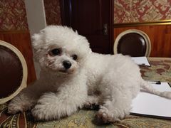 -伽利略剧本探案馆(国贸店)