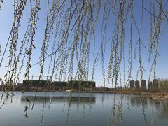 -水西公园