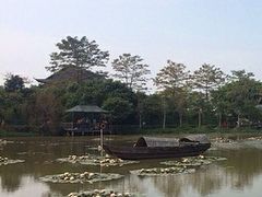 -大湾区中央湿地公园