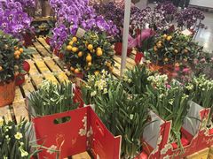 -山姆会员商店(上海浦东店)