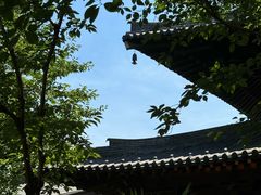 -广富林郊野公园