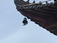 -上海财神庙