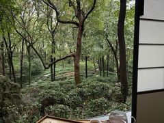 -中国茶叶博物馆(双峰馆区)