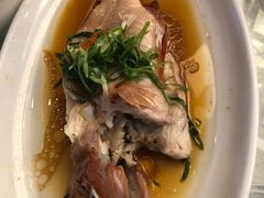 -常州环球恐龙城维景国际大酒店