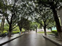 -厦门大学(思明校区)
