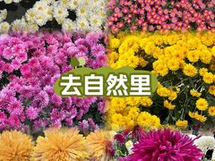 -贵州省植物园