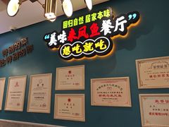 -新概念来凤鱼(璧山店)
