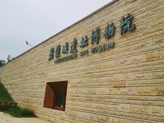 -盘龙城国家考古遗址公园