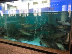 -淘米捞·米汤脆鲩鱼火锅(福田皇岗店)