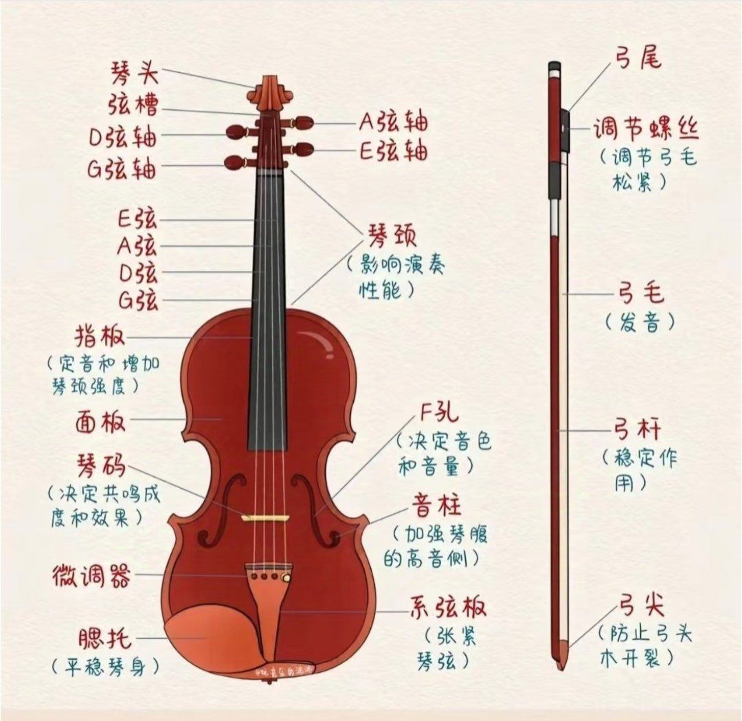 分享小提琴部件及其功能