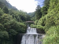 -溪头自然教育园区林间休憩场
