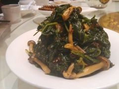 android_upload_pic-西北45°(世茂广场店)
