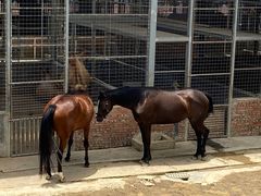 -迪茵湖田家舍生态农场
