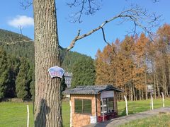 -武陵山森林公园