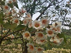 -金堂县云顶石城风景区