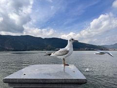 -滇池海埂公园